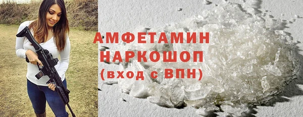 молекула духа Вязьма