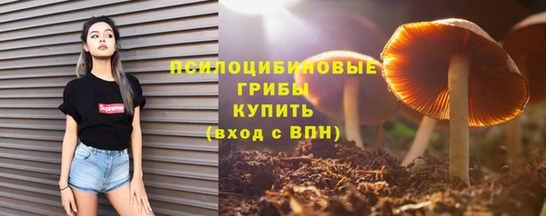 спайс Армянск