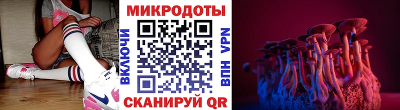 где найти наркотики  Петрозаводск  Галлюциногенные грибы ЛСД 