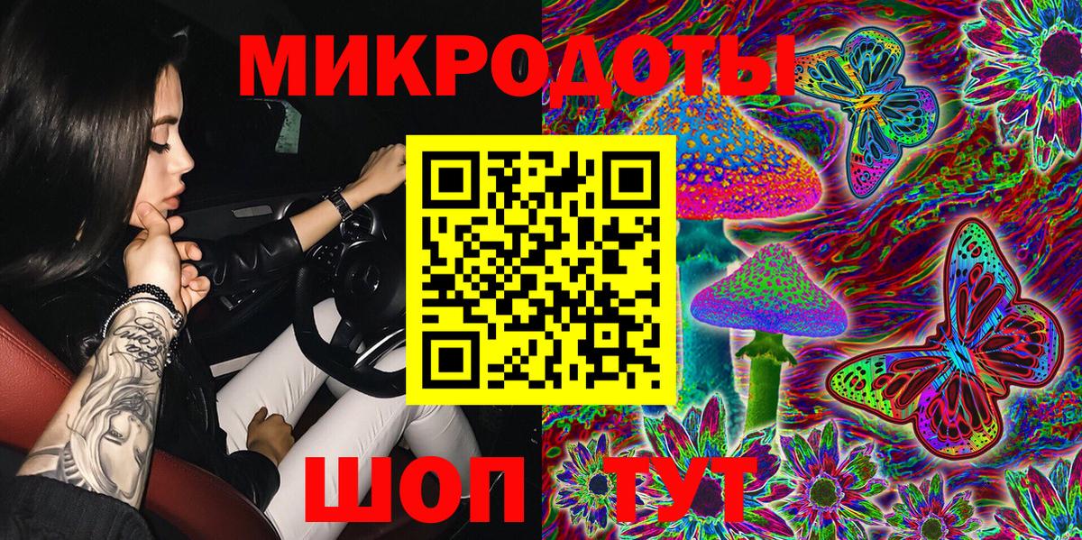Петрозаводск  Галлюциногенные грибы прущие грибы  Вход с VPN  Псилоцибиновые грибы Psilocybine cubensis 
