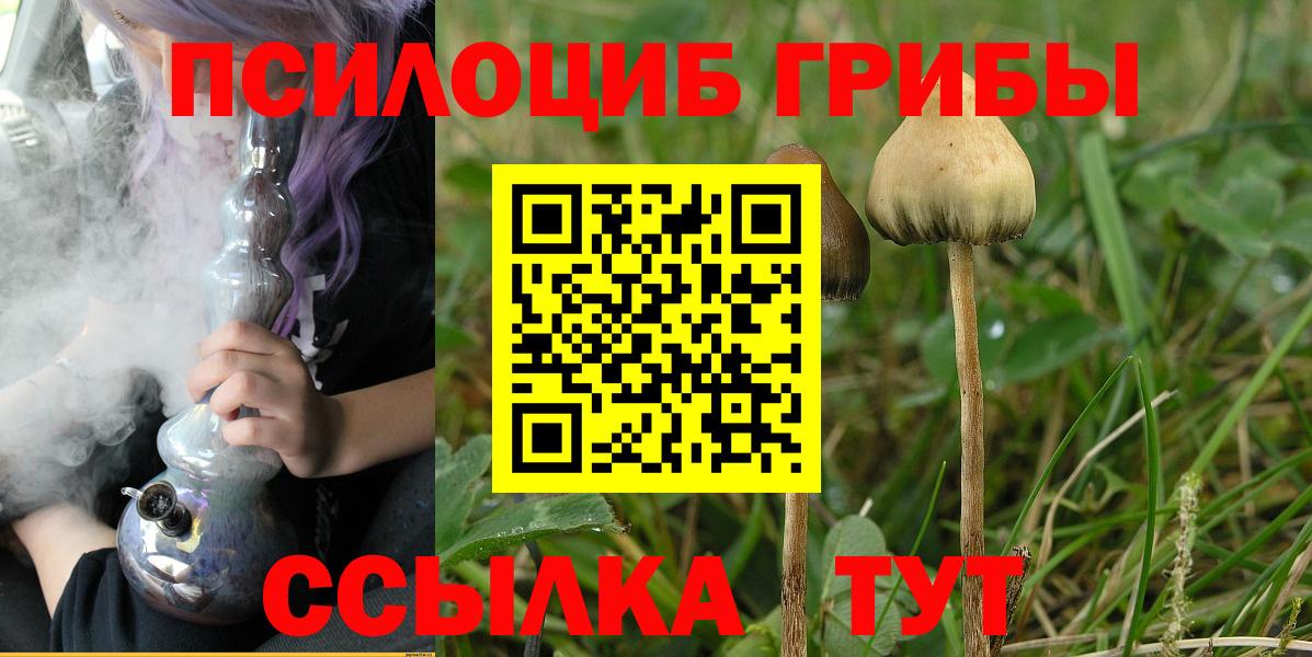 Галлюциногенные грибы Cubensis Петрозаводск