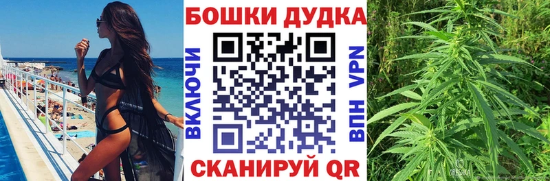 Конопля ГИДРОПОН Петрозаводск